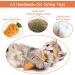 ETEKYER Catnip Toys for Indoor Cats - Interactive Chew Toys with Catnip - Multi-color Cat Pillow Toy for Kitten Kitty - Buy Online on GoSupps.com