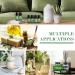 Spring Essential Oils Set for Aromatherapy and Candle Making - Gardenia, Jasmine, Peppermint, Fresh Cut Grass, Spring Rain Breeze Scent Oil - Buy Online on GoSupps.com