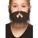 Mustaches Auto-Adh sives Nouveaut L ger Nomad Fausse Barbe et Fausse Moustache Sel et Poivre Couleur