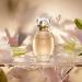 O BOTICARIO - Linha Lily (Classico) - Colonia L'eau de Lily Feminina 75 Ml - (Lily (Classic) Collection - L'Eau de Lily Eau de Toilette for Women 2.54 Fl Oz) - Buy Online on GoSupps.com