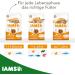 IAMS Dry Cat Food with Lamb | For Cats Aged 1-6 Years | 1.5kg Pack | International Shipping - Buy Online on GoSupps.com