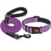 Haapaw Reflecting dog collar padded with soft neoprene breathable nylon dog collar for small medium -sized dogs XS (1 Pack) purple