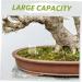 HAPINARY Pet Water Feeder Insect Water Feeder Ants Waterer for Garden Ant Feeding Bowl Ants Feed Bowl Plastic - Buy Online on GoSupps.com