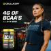 Celllucor BCAA Sport Recovery Powder - Post & Intra Workout Energy Supplement - Cherry Limeade 30 Servings Cherry Limeade 30 Servings (Pack of 1) - Buy Online on GoSupps.com