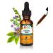 Herb Pharm Organic Kids Herbal Hug: Nervous System Support with Skullcap Passionflower Mullein & Oat Seed | Fast-Absorbing & Alcohol-Free Kid-Friendly Taste Extract for Kids 1 oz*