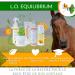 Derma Equilibrium - Natural Treatment for Dermatitis in Horses - With Plants Calendula Lavender Cade - Anti-itching (Derma Equilibrium 1000mL) - Buy Online on GoSupps.com