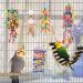 KATUMO Small Bird Toys - Natural Wood Ladder & Colorful Bamboo Shredding Toy for Parrots & Small Birds - Buy Online on GoSupps.com