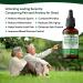 Stress Relief Hemp Seed Oil for Sleep Aid Optimal Pain Relief & Anxiety Relief Certified Organic Made in USA Anti inflammatory Formula 75 000 - Vitamins & Fatty Acids Enhances Mood - Rich in Omega 3 6 9 - Generous 30mL Bottle 1 - Buy Online on GoSupps.com