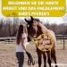 Eggersmann My Horse Feed - Delicious Banana Treats for Horses & Ponies - 1 kg Pack - Buy Online on GoSupps.com