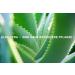 Tomodachi Aloe Vera Dog Supplement - Natural Nutritional Additive Chemical-Free Premium Aloe Vera Juice (1L Bottle) for Healthy Pets - Buy Online on GoSupps.com