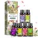 PHATOIL Fragrance Oils Set 6 x 10ml Fragrance Essential Oil Gift Set for Humidifier Aromatherapy Candle Making - White Musk Parma Violet Orange Blossom Japanese Magnolia Freesia Honeysuckle 6-piece | Best Floral Fragrance Oils Set