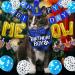 STMK Cat Birthday Party Supplies Cat Birthday Hat Bandana Bow Tie Collar Birthday Number Cat Birthday Banner Garland MEOW Letter Balloons for Cat Kitten Birthday Outfits Decorations Blue Hat & Bandana & Bowtie & Number & Banner & Balloon - Buy Online on GoSupps.com
