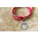 Dog Tags for Pets Puppy Cat Personalised Hollow Tag for Dogs Cats Stainless Steel ID Tag for Puppy Cats Engraved Dog Collar Tag with Any Text (Silver L) Silver Large - Buy Online on GoSupps.com