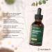 Horbaach Chlorophyll Liquid Drops 100ml Chlorophyll Drops Liquid Chlorophyll from Alfalfa 100 Days Delivery Vegan Horbach - Buy Online on GoSupps.com