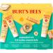 Burt's Bees Valentine's Day Gift Ideas - Essentials Everyday Set 5 Travel Size Products - Deep Cleansing Cream Hand Salve Body Lotion Foot Cream and Original Lip Balm Everyday Essentials Set- New - Buy Online on GoSupps.com