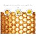 ZITIANY Dime Perfume Magic Natural Lip Change Color Lip Balm 5g - Aloe Lipstick & Lip Sleep Mask, Gold - Buy Online on GoSupps.com