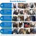  Mayerzon Breathable Dog Muzzle for Small Medium & Large Dogs Prevents Biting Barking & Chewing Ideal for Aggressive Dogs Small Blue  - Buy Online on GoSupps.com
