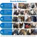 Breathable Dog Muzzle - Sizes for Small Medium & Large Dogs | Prevent Biting Barking & Chewing | Ideal for Aggressive Breeds - Buy Online on GoSupps.com