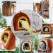 Qimilenzy Winter Warm Plush Pumpkin Bird Nest for Small Medium Birds - Orange - Buy Online on GoSupps.com