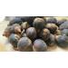 GORONTULA Fruit Azanza Garckeana Organic Sweet Silky Snot Apple Kayamata Various Sizes 30 Pieces - Buy Online on GoSupps.com