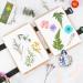 Suziko Flower Press Kit 6-Layer Professional Pressing Tool 6.3 x 8.3 inch - Ideal for Adults and Kids - Perfect Gift for Flower Enthusiasts - Buy Online on GoSupps.com