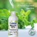 Mighty Mint 8oz Peppermint Oil Spray - Natural Pest Control for Spiders, Ants, Non-Toxic - Pack of 2 - Buy Online on GoSupps.com