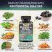 Rhodiola Rosea Panax Ginseng Ashwagandha Cordyceps Mushroom Turmeric Ginkgo Biloba Stinging Nettle Adaptogen Blend Supplement Capsules for Daily Wellness Support (3 Pack) 60 Count (Pack of 3) - Buy Online on GoSupps.com