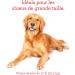 Milk-Bone Original Dog Biscuits Large Sized Dog Treats Meaty Taste 2kg Boxes (Pack of 6) Large Dog 2Kg (Pack of 6) - Buy Online on GoSupps.com