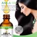 Amla Oil 60ML - Natural & Vegan Hair Oil for Healthy Growth Thicker Fuller Shinier Hair for Men & Women - International Shipping Available - Buy Online on GoSupps.com