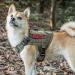 OneTigris Fire Watcher 2.0 Molle Dog Harness with Handle & Metal Buckle - Military Green | International Shipping Available - Buy Online on GoSupps.com