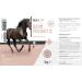 Reavet Darm Prebiotic 3kg for Horses - Grain-Free Additive-Free Natural Solution for Intestinal Health & Fecal Water Issues - Buy Online on GoSupps.com