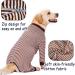 Buy Axcimond Dog Body with Legs - Full Body Protection for Large & Medium Dogs | Post-Surgery Zipper Suit - 6XL Coffee - Buy Online on GoSupps.com