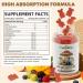 Mushroom Gummies Supplement with Ashwagandha - Lion Mane Mushroom Supplement for Adults Kids with Reishi Cordyceps Brain Supplements for Memory and Focus Organic Vegan Non GMO Mixed Fruit Flavor 60CT - Buy Online on GoSupps.com