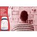 Nootropics Depot Alpha GPC Capsules 150mg - Enhance Brain Function & Cognition 180 Count Cholinergic Supplement - Buy Online on GoSupps.com