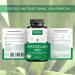 Bromelain 1000 mg Capsules - High Dose Pineapple Extract Vegan Lab Tested - 150 Count for Optimal Gut Health - Raibu - Buy Online on GoSupps.com