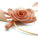 Ladies Peach Feather Beaded Beak Clip Fascinator for Weddings, Races & Royal Ascot - Buy Online on GoSupps.com