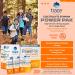 Trace Minerals Power Pak Sugar Free Electrolyte Powder | 1200mg Vitamin C Zinc Magnesium | Keto Friendly Orange Mango | Boost Immunity & Hydration | 60 Packets (2-Pack - Buy Online on GoSupps.com