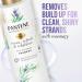 Buy Pantene Sulfate Free Shampoo - Rosemary Detangling Color Safe 9.6 oz | International Shipping - Buy Online on GoSupps.com