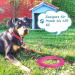 Hofleine 9m Cable Leash for Large Dogs - Durable Linen Tie Out for Medium & Large Dogs Up to 40kg - Perfect for Camping - Pink - Buy Online on GoSupps.com