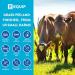 Equip Foods Grass-Fed Beef Organs Supplement - Heart, Kidney & Spleen Support - Detox & Digestion - Hormone Antibiotic Free - 120 Capsules - Buy Online on GoSupps.com