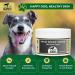 Biteback 'Sweet Relief Silver' Cream - Essential Silver-Infused Antiseptic Cream for Dogs: Ideal for Minor Wounds Abrasions & Rubs - Benzyl Benzoate Dog First Aid Essentials - 100g - Buy Online on GoSupps.com