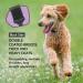 Groomers World - Firm Flexi Slicker Brush - Suitable for Poodle Doodle Bichon Dog Breeds - Small - Buy Online on GoSupps.com