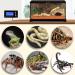 XIEHUZA Digital Dimming Thermostat Day & Night Timer | Reptile Temperature Controller - Buy Online on GoSupps.com