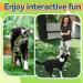 Indestructible Dog Toys & Robust Chicken Play for Large Dogs | Kielezeuge for Aggressive Horses & Puppies - Buy Online on GoSupps.com