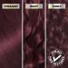 Garnier Nutrisse Ultra Color Permanent Hair Dye Vibrant Long-Lasting Colour Vegan Formula Nourished Hair Protects Hair Against Dryness 362 Burgundy Garnet 1 Application Packaging May Vary RED SHADES 362 Burgundy Garnet - Buy Online on GoSupps.com