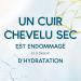 DERMAxPRO by Head & Shoulders APAISE Cr me de Soin Rincer Pour Cuir Chevelu Sec Qui D mange L'Aloe Vera 72H d Hydratation pour le Cuir Chevelu Sec 145 ml - Buy Online on GoSupps.com