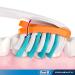 Oral-B Pro-Flex Soft Toothbrush - 2 Pack for Superior Oral Care - Buy Online on GoSupps.com
