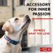 Shop Waudog Adjustable Nylon Dog Collar - Ethno Blue for Large & Medium Dogs (31-49 cm 25 mm Width) | Durable & Stylish Neck Band - Buy Online on GoSupps.com