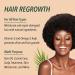 4 oz Pure Organic Batana Oil for Hair Growth & Skin Wellness | Nourishing Treatment from Honduras | Natural Shine & Moisturizing for Men & Women - Buy Online on GoSupps.com