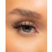 Invogue Lash - Triple Threat - Buy Online on GoSupps.com